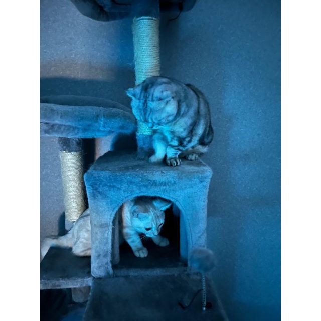 【千葉風俗】栄町ソープランド アラカルト【-A La Carte-】せなの日記画像