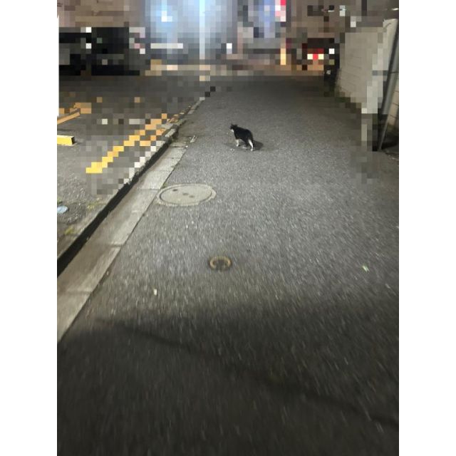 【千葉風俗】栄町ソープランド アラカルト【-A La Carte-】さやの日記画像