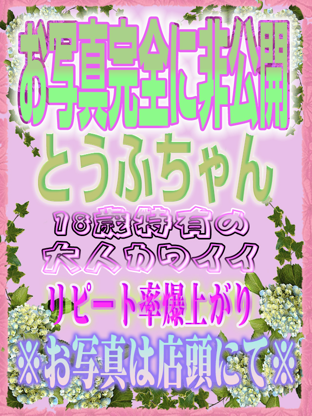 【千葉風俗】栄町ソープランド アラカルト【-A La Carte-】モデルとうふ写真1