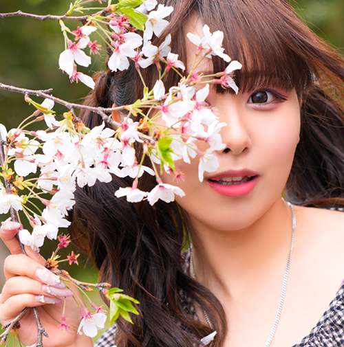 【千葉風俗】栄町ソープランド アラカルト【-A La Carte-】モデルてぃあら写真1